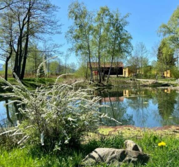 Magic Creation Retreat